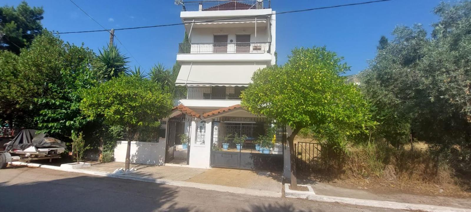 Queen Aspri Apartment 3' Min To The Beach! Antikyra Exteriör bild
